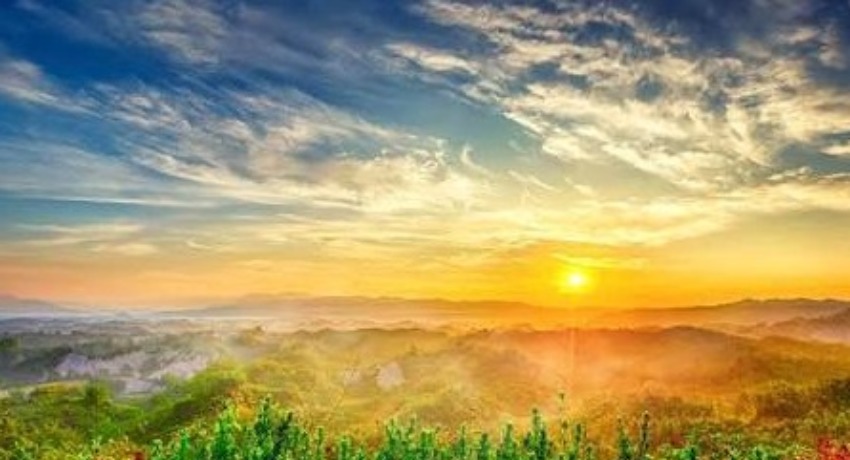 伙伴故事集 - 糖心传媒官网 - 优质合作伙伴成长纪实平台
